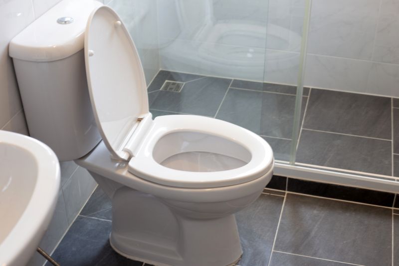 Basement Toilet Installation in Denver, CO