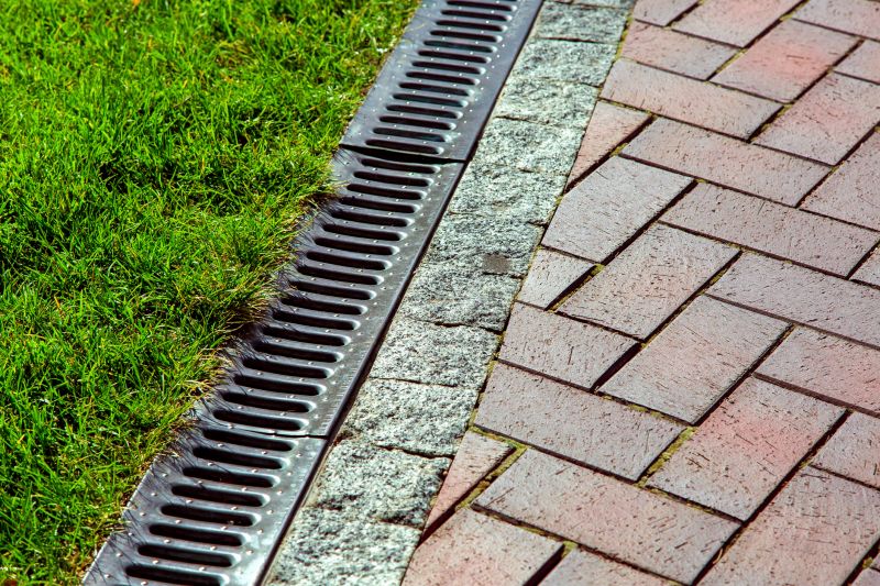 Drainage Unblocking in Denver, CO