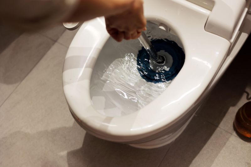 Toilet Clearing in Denver, CO