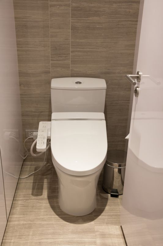 Toilet Service in Denver, CO
